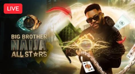 big brother naija 2023|big brother naija 2023 live stream today.